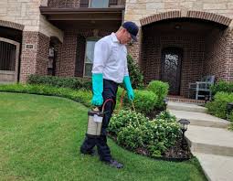 How to get rid of wasps in a chimney. Moxie Pest Control Raleigh Updated Covid 19 Hours Services 12 Photos 48 Reviews Pest Control 2401 Brentwood Rd Raleigh Nc Phone Number Yelp