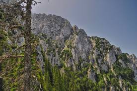 La rugamintea noptii, deoarece soarele a marit ziua pentru a se uita mai mult timp la tanara, dumnezeu a pedepsit soarele, dar si pe fata. Gc6m15f Cabana AscunsÄƒ Traditional Cache In Romania Created By Iepu09