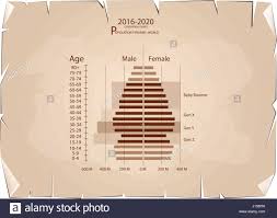 Population And Demography Population Pyramids Chart Or Age