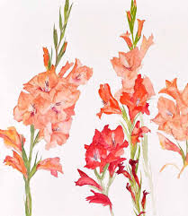 Celebrate and remember the lives we have lost in bluefield, west virginia. Elizabeth Blackadder Decades By Browse Darby Ltd Issuu