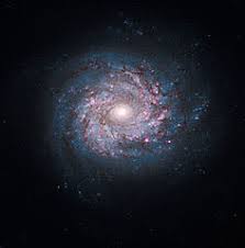 Image result for Cosmos