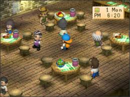 Back to nature adalah salah satu game simulasi kehidupan terinovatif dan paling asyik untuk dimainkan bagi semua kalangan. 64 Event Penduduk Desa Di Tahun Pertama Harvest Moon Back To Nature Hmbtnid