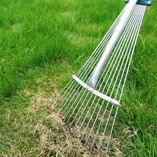 However, it can become tiring. Get Rid Of Thatch How To Promote A Healthy Lawn By Dethatching