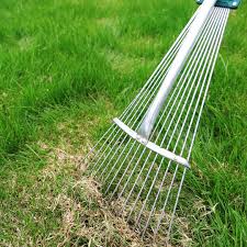 For the lawn of your dreams, don't wait to overseed until your lawn looks less than its best. Get Rid Of Thatch How To Promote A Healthy Lawn By Dethatching