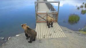 Jonathan Sievers (@sieversfever)