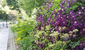Wood flowers, wooden daisies, tiered tray flowers, mother's day gift, 3d flowers. 11 Garden Ideas To Steal From Buffalo New York Gardenista