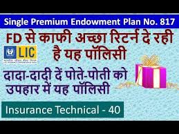 Lic Single Premium Endowment Plan No 817 In Hindi Life Insurance Policy