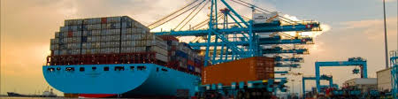 Apm terminals, the hague, netherlands. Alex Duca Director Head Of Automation Program Apm Terminals Linkedin
