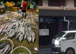 The ministry of health (moh) said it has detected 25 of such cases at haig road market and food centre, and 10 cases at chong pang market. Wzo2slyzzn4efm