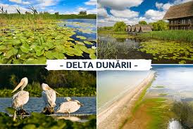 Excursii delta dunarii,croaziera in delta,vacanta delta,excursii cu barcile cu motor,excursii cu rapida,cazare pe. CuriozitÄƒÈ›i Despre Delta DunÄƒrii Cunoaste Ti Tara