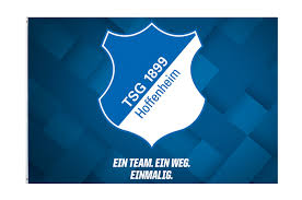 It should be used in place of this raster image when not inferior. Hissflagge Tsg 1899 Hoffenheim 100 X 150 Cm