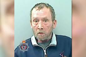 Locked up: Dangerous paedophile and bullies who hacked woman's hair among  32 jailed in October