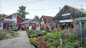 Maybe you would like to learn more about one of these? Traveling Petting Zoo Nh Crazypurplemama