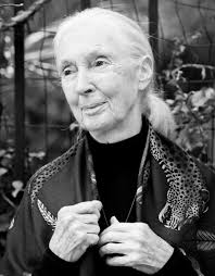 Emmanuel Bruno Padilla (@emopadilla) • Threads, Say more