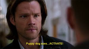 Shirtless Sammy — 9x13: The Purge