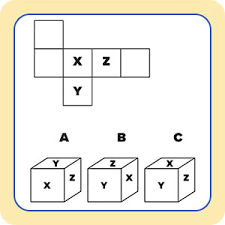 Maybe you would like to learn more about one of these? Brain Teasers For Adults 75 Large Print Puzzles Riddles And Games To Keep You On Your Toes Danesi Marcel 9781646110582 Amazon Com Books