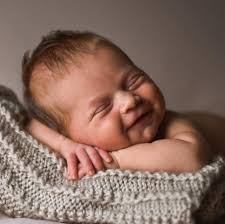 Wildflower Photography