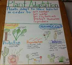 These 22 awesome first grade anchor charts are perfect. Plant Adaptations Anchor Chart Science Anchor Charts Plant Adaptations Anchor Chart Plant Adaptations
