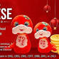 Chinese New Year Celebration (Hampton Roads)