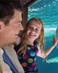 Can I use 4 guest tickets in one day with a Gold pass at SeaWorld?