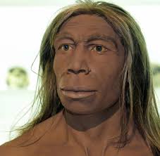Greift mrna ins erbgut des menschen ein? Neandertaler Fortpflanzung Mit Menschen War Erfolglos Welt