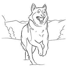 These puppy coloring pages printable are extremely cute and adorable. Top 10 Printable Husky Coloring Pages