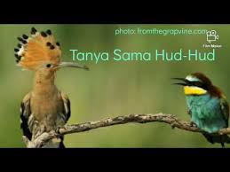 Pernah dengar lagu tanya sama itu hudhud? Download Bedah Lagu Tanya Sama Itu Hud Hud M Nasir Tanya Diri Sendiri Mp4 3gp Hd Naijagreenmovies Fzmovies Netnaija