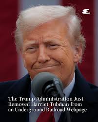 Even while lighting the economy