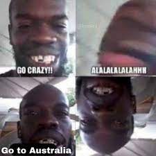 Go Crazy Go Stupid Know Your Meme
