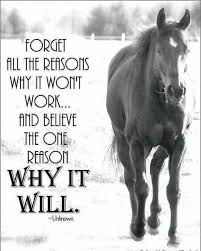 Good Morning Quote Quotes Quotestoliveby Quoteoftheday Horse Quotes Inspirational Horse Quotes Horse Riding Quotes
