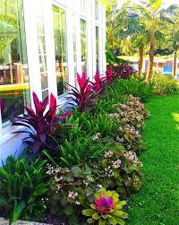 Landscape Plants North Florida In 2020 Flower Landscape Cheap Landscaping Ideas Easy Landscaping