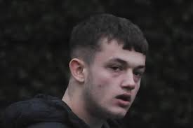 Hartlepool teenager Callum Green found guilty of rocking horse sex act in  town park