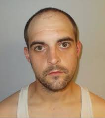 BOW MAN PLEADS GUILTY TO FENTANYL TRAFFICKING Michael Briand, 29, of Bow,  pleaded guilty in federal court to fentanyl trafficking, United States  Attorney Scott W. Murray announced today. According to court documents