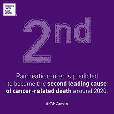 It accounts for 3 in 100 of all new cancer cases. Pancreatic Cancer Awareness Month