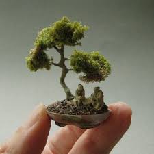 Peki, bonsai ağacı kaç yıl yaşar merak ediyor musunuz? Bonsai Agaci Nasil Yetistirilir 20 Kritik Bakim Ipucu