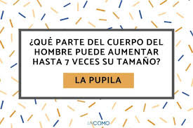 ¿buscas ejercicios que te ayuden a pensar en inglés? Adivinanzas En Espanol Para Adultos Con Respuestas
