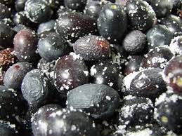 Check spelling or type a new query. Olive Guida Alla Conservazione Secondo I Metodi Contadini