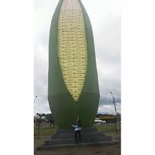 Dmilhão nutrição atlética e alto rendimento Milhao De Xanxere Picture Of Corn Museum Xanxere Tripadvisor