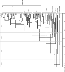Biogeography And Evolution Of The Screw Pine Genus Benstonea