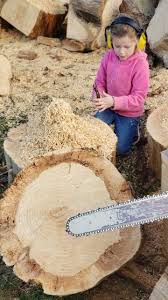 How to use sawdust in a vegetable garden. 10 Best Uses For Sawdust In 2021 What To Do With Sawdust Answered