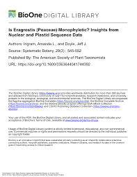 Image result for Eragrostis patentipilosa