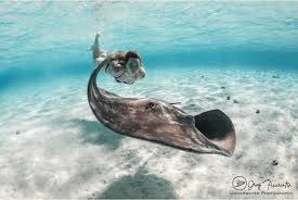 Que Faire Sur L Ile De Moorea Voyage Paris Voyage En Polynesie Photos Voyages