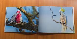 Booth & williams is honored to partner with you. Roar Media Group Roar Wild Australia Coffee Table Book Limited Edition Roar Media Group