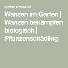 Wanzen Im Garten Wanzen Bekampfen Biologisch Pflanzenschadling Pflanzenschadlinge Garten Balkon Pflanzen