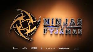 In an announcement made by the team, astralis has agreed to have nicolai dev1ce reedtz transferred to the legendary swedish organization ninjas in pyjamas. Ninjas In Pyjamas On Behance