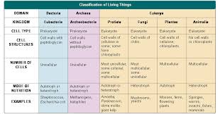 What Is The Animal Kingdom Classifications