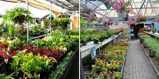 We did not find results for: 7 Best Plant Nurseries In Chandigarh To Buy Plants Seeds For A Greener Home