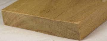 Image result for Xymalos monospora