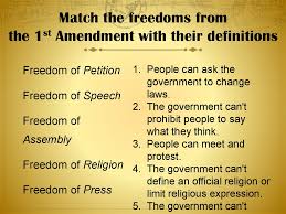 It is the freedom to encourage or disapprove government action through nonviolent, legal means. The U S Constitution Online Presentation