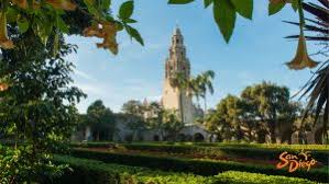 San diego png collections download alot of images for san diego download free with high quality for designers. 7 Free San Diego Zoom And Microsoft Teams Backgrounds